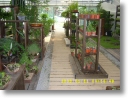 ground deck30.JPG